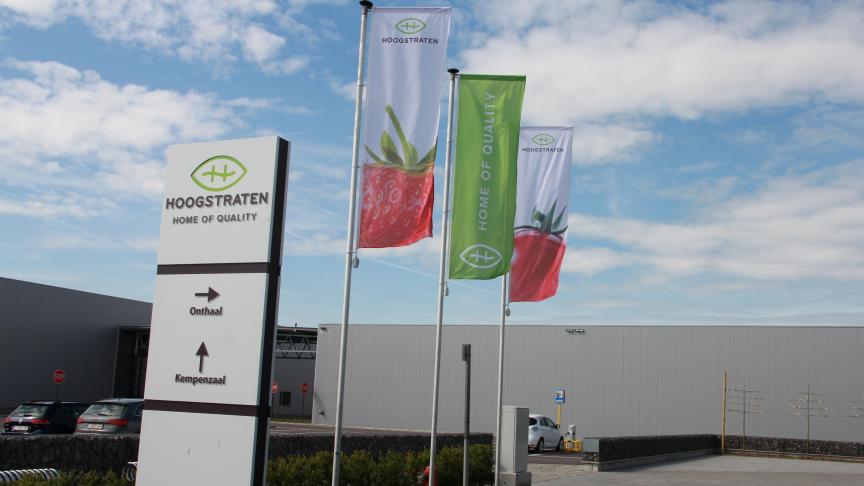 Coöperatie Hoogstraten sluit 2020 af met een omzet van 290 miljoen euro.