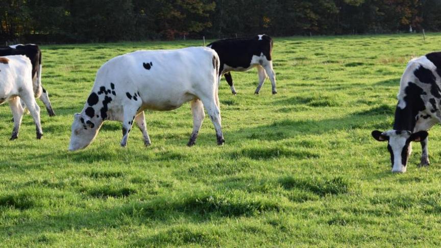 Naast naam en inhoud veranderen ook de regels voor het behalen en het behoud van een vrij IBR-statuut.
