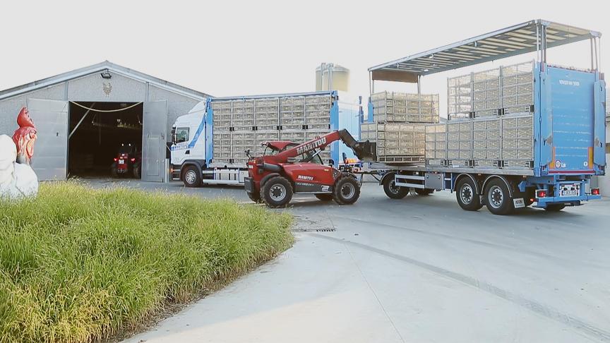 Vlaams Dierenminister Ben Weyts, de Vereniging van Industriële Pluimveeslachthuizen (VIP) en het Nationaal Verbond van Pluimveeslachthuizen en Uitsnijderijen (NVP) hebben nu een koudeprotocol vastgelegd met afspraken voor het laden, vervoeren en lossen van pluimvee bij erg koude temperaturen.