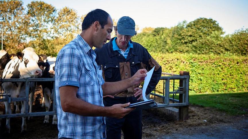 Eddy Decaesteker, adviseur melkveehouderij bij Inagro, geeft advies aan melkveehouders.