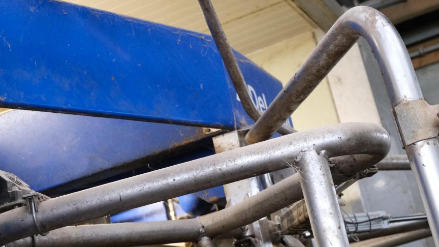 Deze camera meet de bodyconditie van de koe.