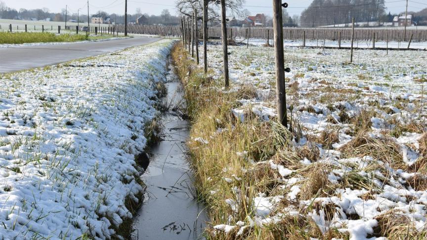 Ondanks overvloedige regenval zijn bodemwater en oppervlaktewater nog niet op het goede peil.