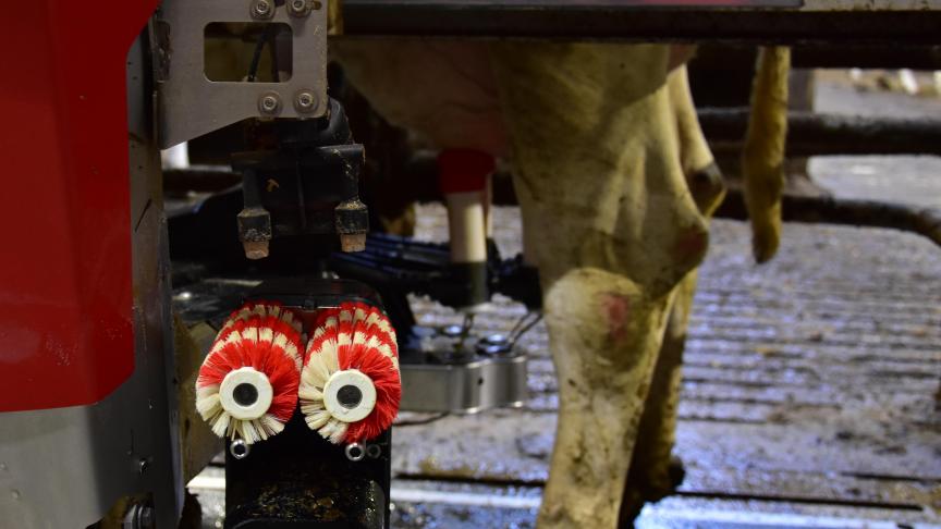 De berekende voorschotmelkprijzen komen in december 2020 uit op gemiddeld 33,53 euro per 100 kg standaardmelk.