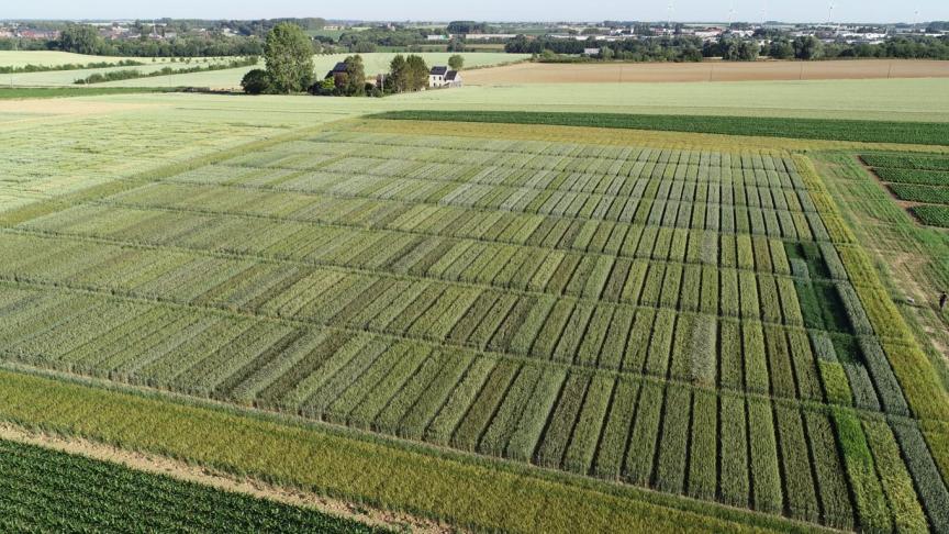 De proeven werden aangelegd in 9 centra gesitueerd in de volgende landbouwstreken: Condroz(2), Leemstreek (3), Zand-leemstreek (2) en Polders (2).
