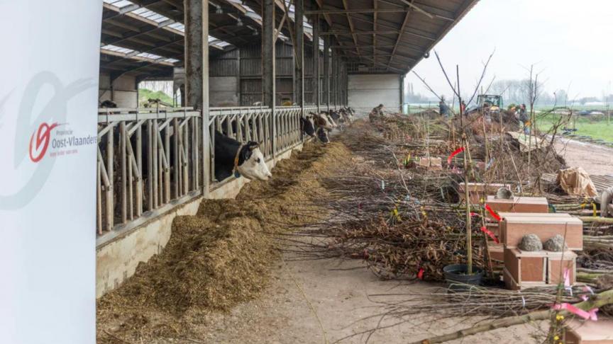 Bij de 243 deelnemers van de groepsaankoop waren er 203 landbouwers.