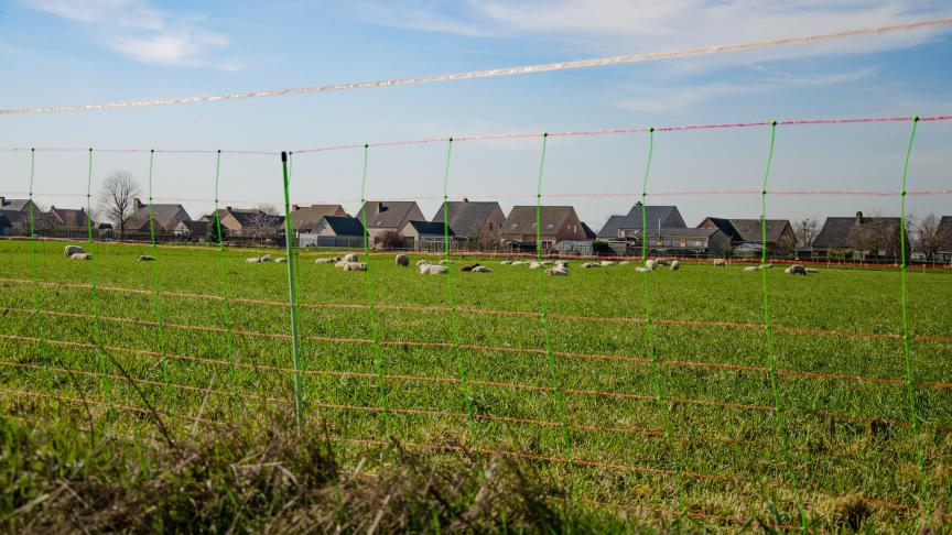 Volgens Jan Loos van Welkom Wolf, het wolvenmeldpunt van Landschap vzw, is de kostprijs van de genomen maatregelen maar een peulschil vergeleken met het niet nemen van maatregelen.