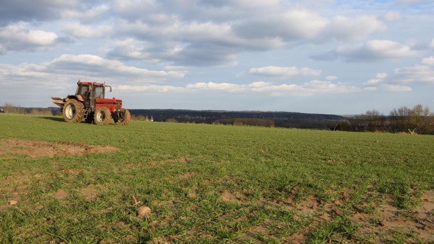 De stikstofadviezen voor wintergranen liggen dit jaar iets hoger dan vorig jaar.