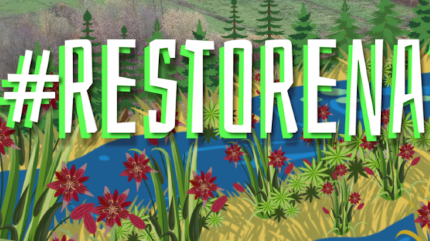 Natuurpunt lanceert samen met haar Europese natuurpartners Birdlife, EEB en WWF de grootschalige #RestoreNature-campagne.