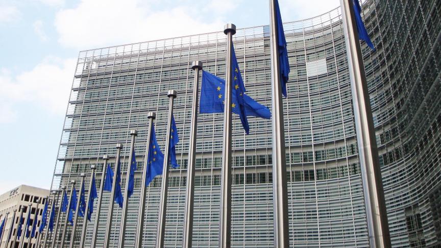 Hoofdverdachten waren een nu 61-jarige vrouw uit Cyprus en haar echtgenoot, die samen in 2007 een bedrijf Agropromotion hadden opgericht, waarmee ze vervolgens vanaf 2008 begonnen te frauderen met subsidies van de EU.