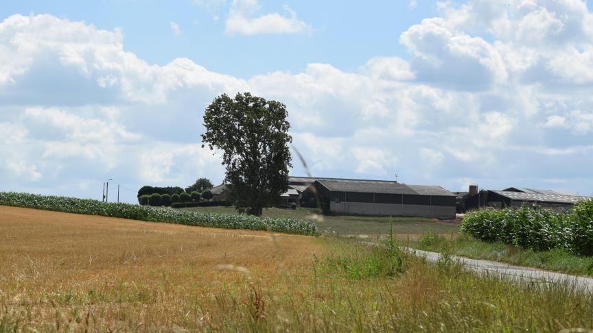 Innovatie is ook in de Vlaamse land- en tuinbouw de motor van vooruitgang.