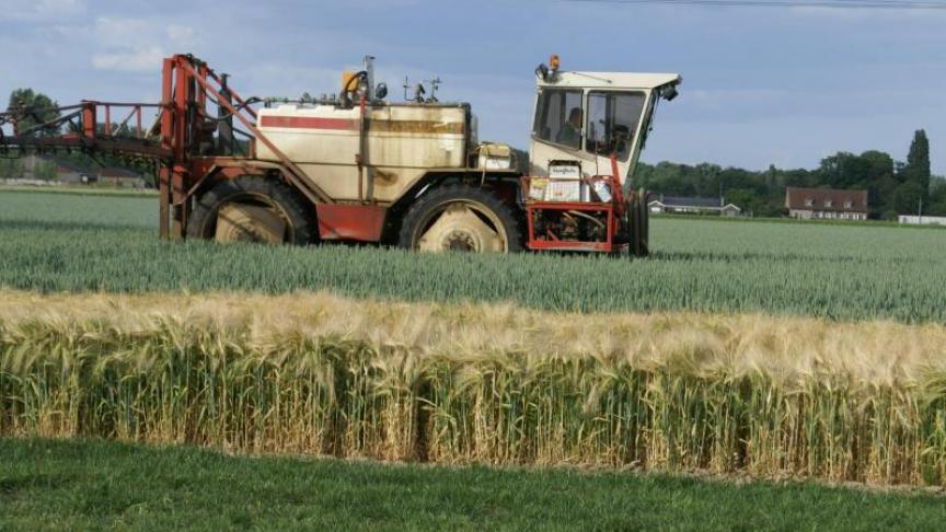De Green Deal houdt onder andere een gevoelig verminderd gebruik van chemische  gewasbeschermingsmiddelen in.