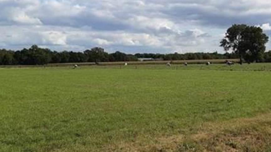 De thema’s die de provincie Antwerpen uitzet voor de nieuwe projectoproep sluiten nauw aan bij die vaststellingen: open ruimte, lokale landbouw en veerkrachtige dorpen.