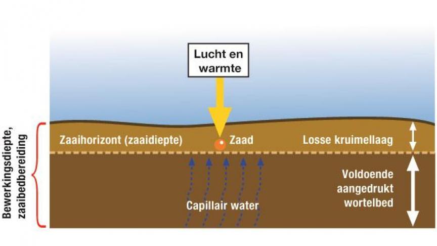 Kruimelig zaaibed en vast wortelbed voor een vlotte start