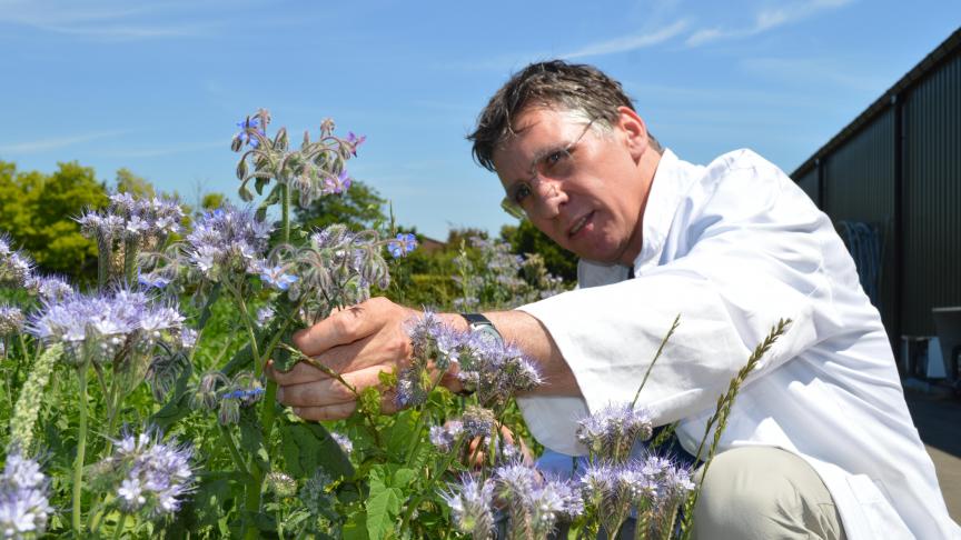 Al 30 jaar wijdt Felix Wäckers zijn leven aan onderzoek naar bestuivers en natuurlijke vijanden die het gewas beschermen tegen plagen.
