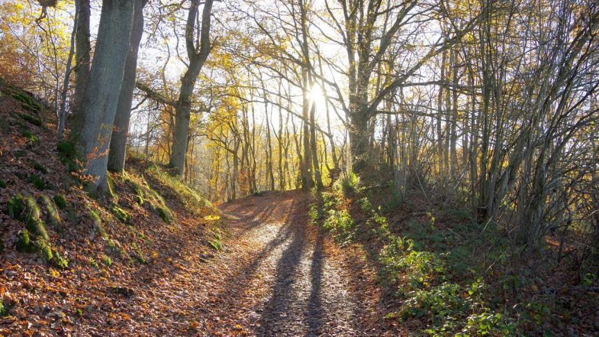 Heb jij mooie foto’s in je archief?