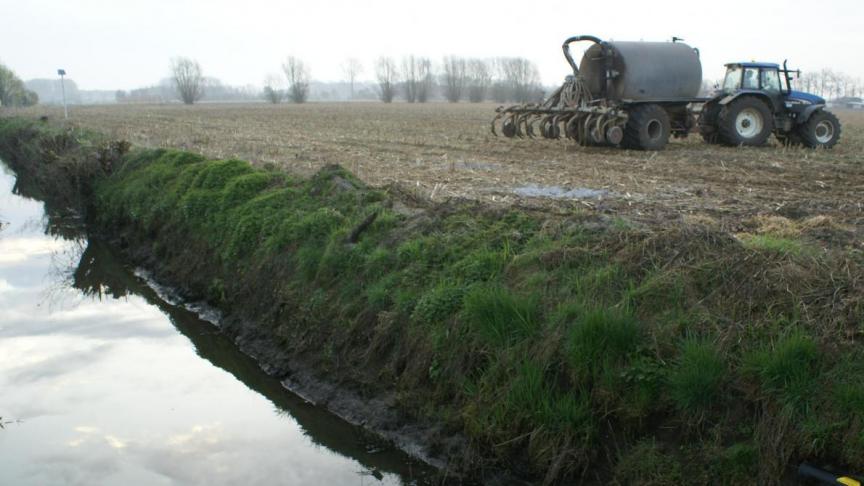 Wie inbreuken pleegt tegen de VLM-mestregelgeving kan ook inkomenssteun verliezen.