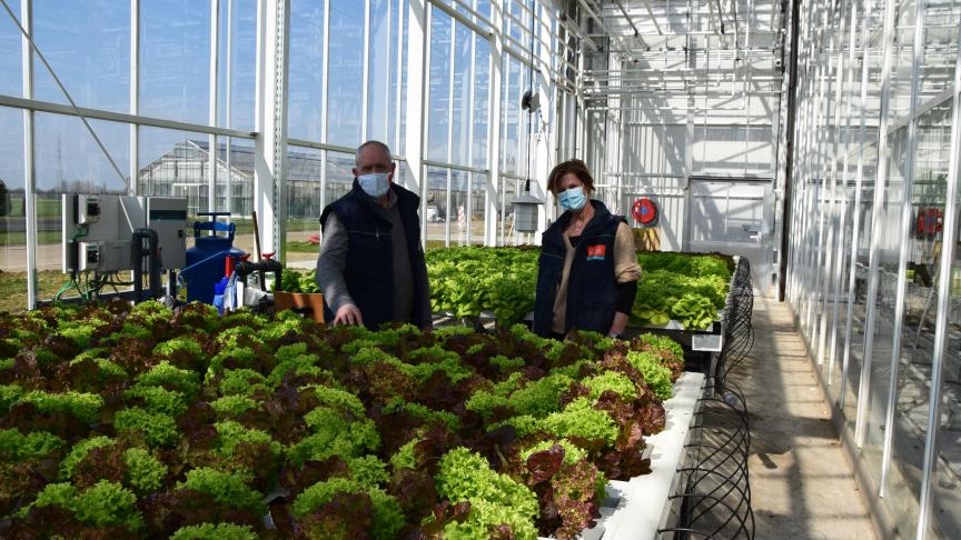 De grote primeur van Thomas More is de nieuwe serre, met de nieuwste  hoogtechnologische snufjes.