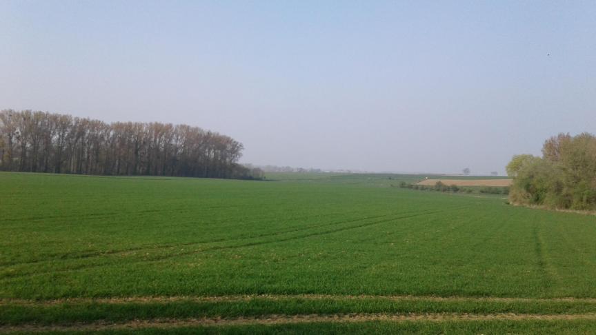 Wanneer u op basis van de gegevens in de opzegbrief twijfelt of de aanstaande exploitant voldoet aan al de voorwaarden, is het voldoende om de opzeg niet te aanvaarden binnen de 30 dagen.