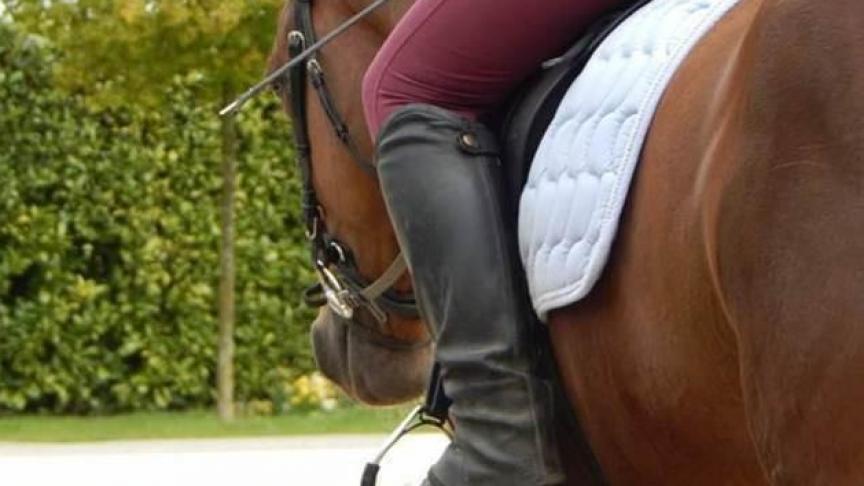 Het PITO investeerde eerder al in de paardenhouderij, onder meer in een buitenpiste.