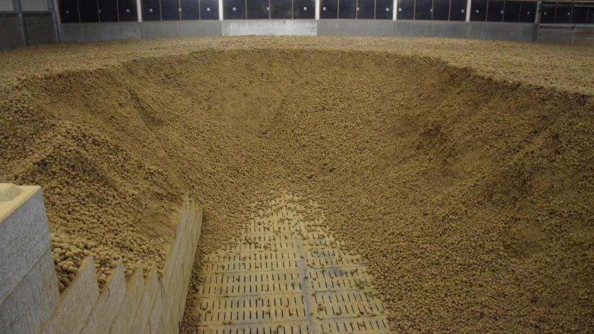 De Belgapomnotering van Fontane steeg naar hetzelfde niveau als Challenger en bedraagt nu 60,00 euro/ton (zonder btw) of 63,60 euro/ton.