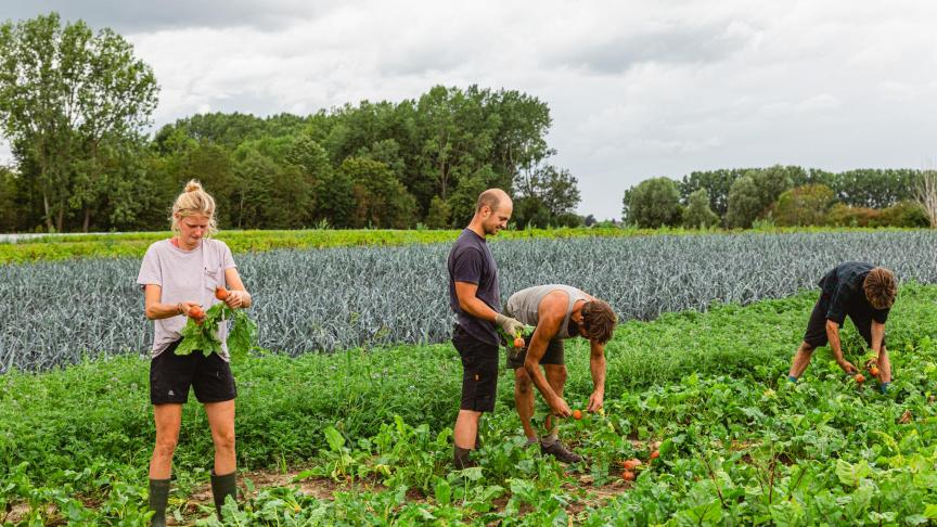 Momenteel zijn er 24 medewerkers in vaste dienst bij De  Wassende Maan.