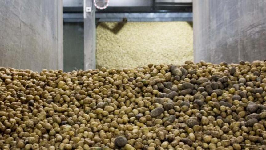 De buurtbewoners mobiliseren zich al sinds januari 2019 tegen de megafabriek van Clarebout Potatoes.