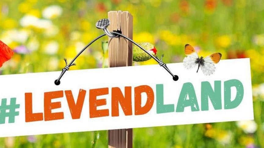 Met de petitie ‘Levend Land’ vraagt Natuurpunt aan de Vlaamse Regering om die landbouwsubsidies daar maximaal voor in te zetten.