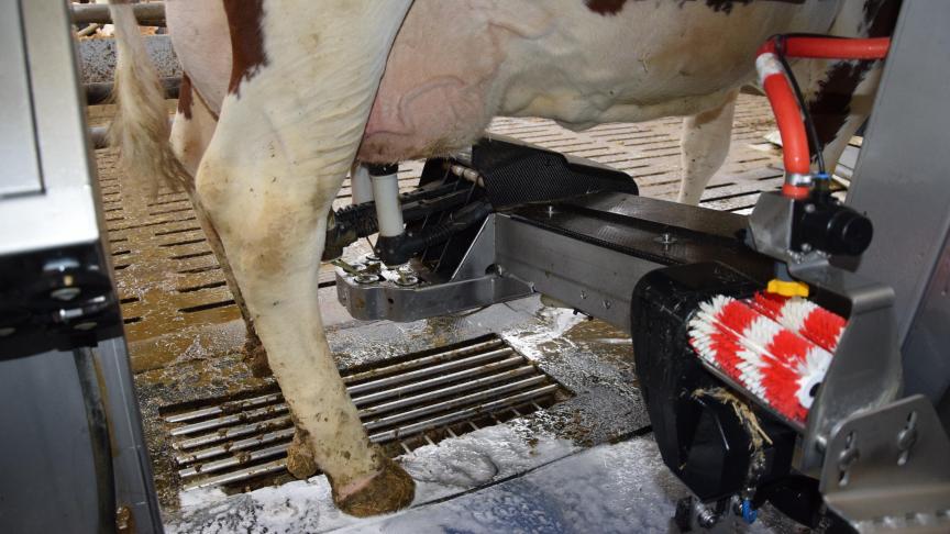 Kies doordacht voor een melkrobot.