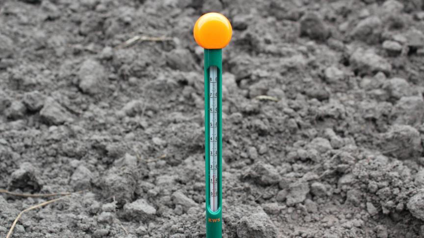 Zaai bij een bodemtemperatuur op zaaidiepte van minimaal 10 graden Celsius