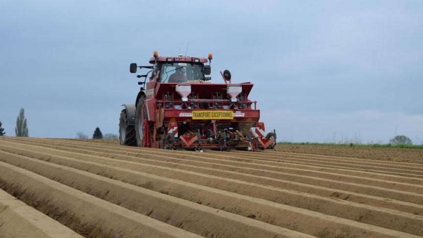 Belgapom deed op 21 mei geen notering voor Bintje.