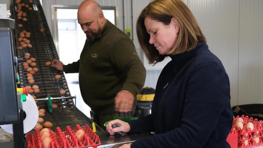 Twee keer per dag worden de eieren afgedraaid.