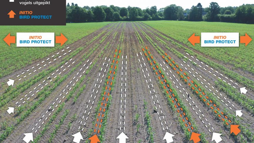 Overzicht proefveld Initio Bird Protect