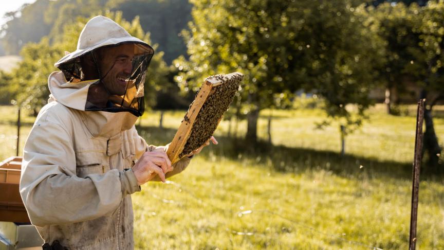 Beelgium gaat van start vanuit de wens om plezier te hebben tijdens het werk.