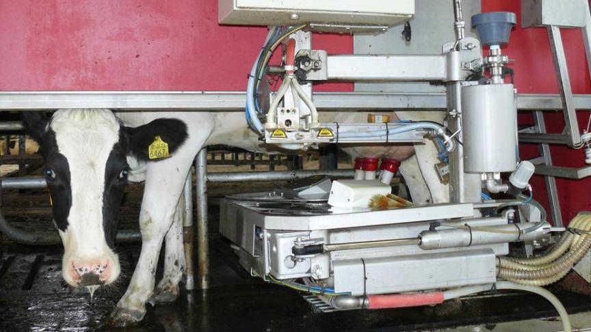 De globale melkaanvoer lijkt momenteel wel behapbaar door de vraag.