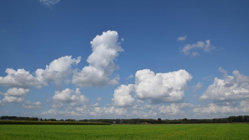 We hebben de koudste lente sinds 2013.