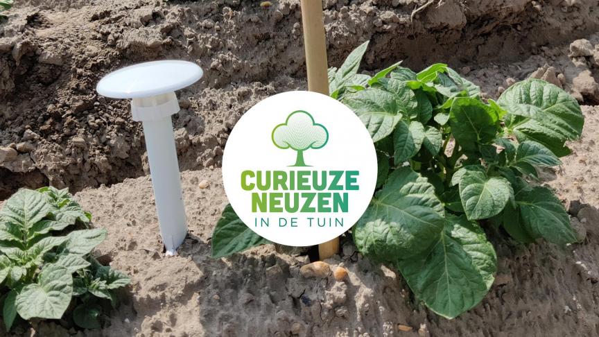 Voor de landbouwgebieden focust CurieuzeNeuzen in de Tuin op de aardappelteelt.