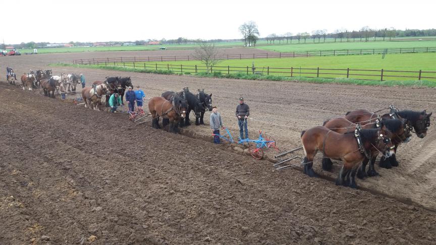 Het Aangespannen Trekpaard wil het Belgisch Trekpaard in stand houden door het gebruik ervan te stimuleren.
