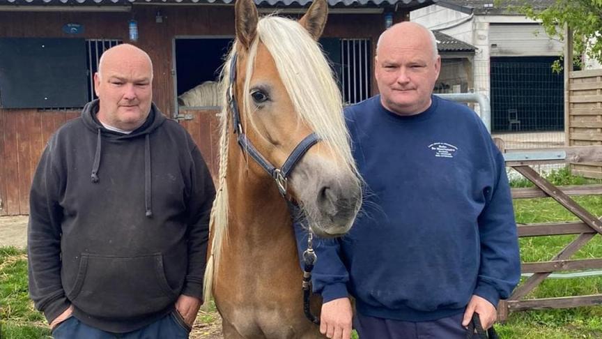 De gebroeders Nicolas en Christophe De Maerteleire genieten van hun Haflingers.