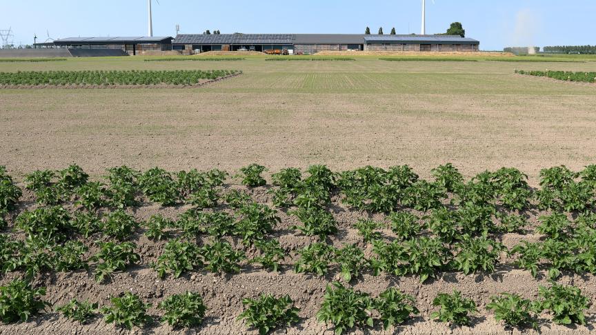 85% van de beursruimte van PotatoEurope is nu al gevuld.