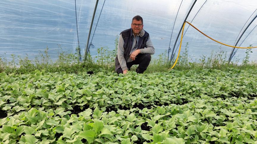 Leo kweekt plantjes in een serre om zo het seizoen te verlengen.