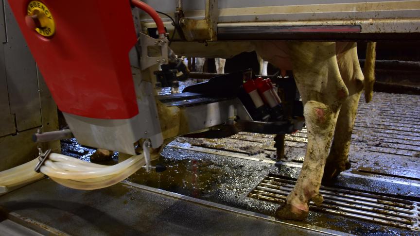 Van de 155 melkveebedrijven die een nieuwe installatie hebben opgestart, kiest twee derde van de melkveehouders voor AMS (melkrobot) bij nieuwbouw.