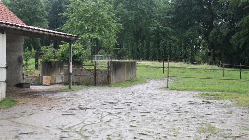 Via een eigen paardenpad van de weide naar de veilige zandplek, voor onderdak en water:een vrij paard is een blij paard, dicht bij zijn natuur.