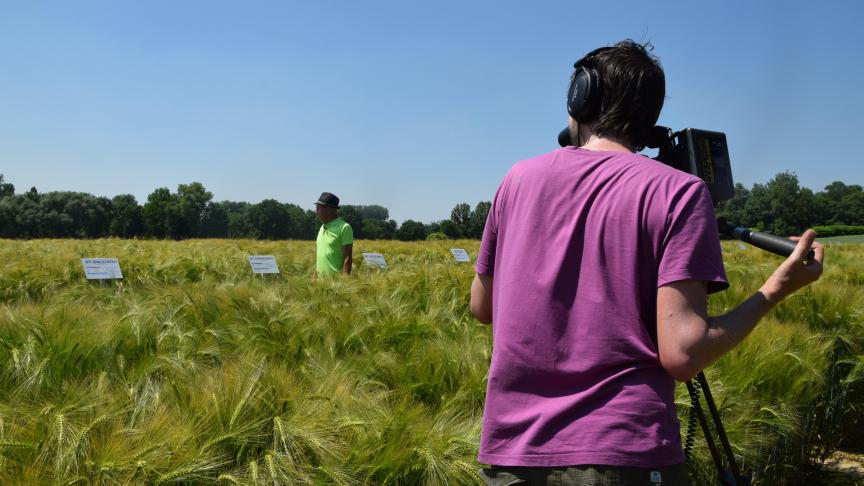 Inagro-onderzoeker Alain Vandaele gaf uitleg bij de rassenproef gerst.