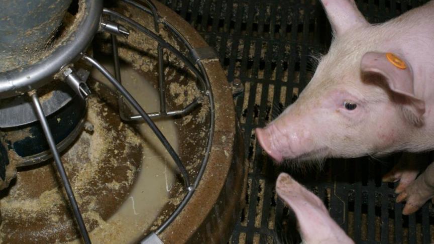 Het gebruik van colestine, een antibioticum gebruikt als laatste redmiddel bij multiresisente infectie bij mensen, toont een continue afname in de diergeneeskunde. Sinds 2012 is er een reductie in gebruik met 71,3%.