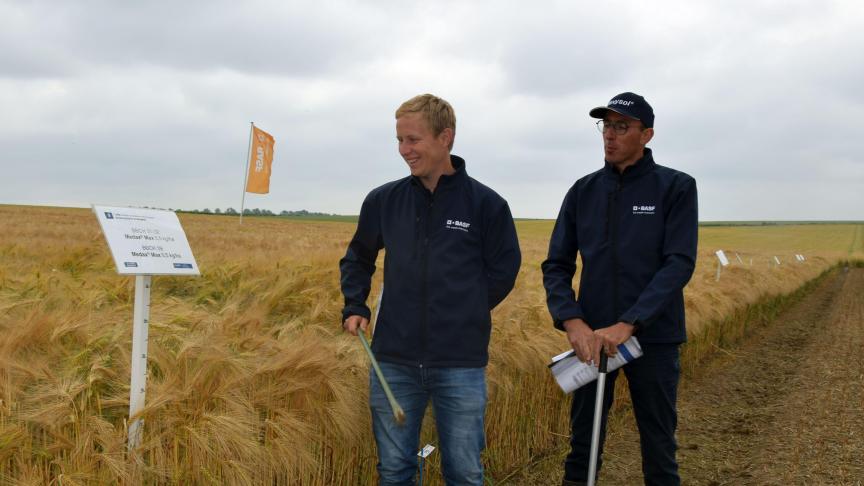 Wat betreft granen, benadrukken gewasadviseurs Michiel Hubau en Dirk Butaye het belang van Revysol en verkorting.
