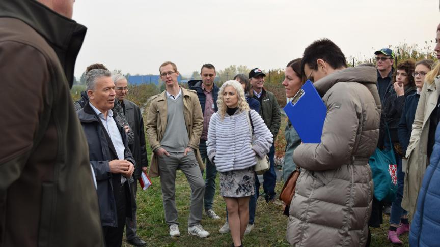 De EIP-AGRI Support Facility focust op Europese netwerkactiviteiten rond innovatie en kennisuitwisseling in landbouw, bosbouw en plattelandsontwikkeling.