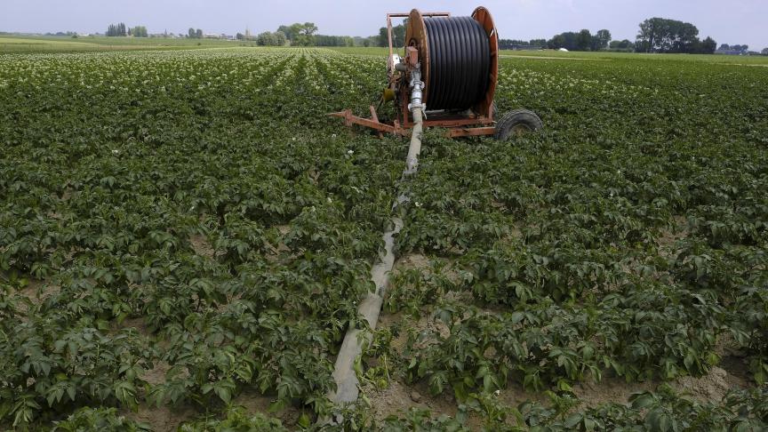 De effecten van de opeenvolgende periodes die werden gekenmerkt door extreme droogte zijn dus duidelijk zichtbaar. De aanvulling van het grondwater is afhankelijk van de neerslag en verdamping.