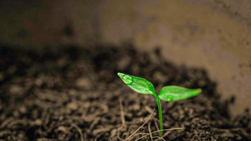 Door de steeds vaker voorkomende drogere perioden wordt gezocht naar manieren om de vochthoudende capaciteit van de bodem te verhogen.