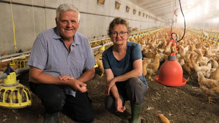 Er is een duidelijke afspraak met dochter Mieke dat Dirk en Chill stoppen met werken als Dirk 65 jaar oud wordt.