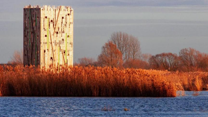 De Blankaart bulkt van de biodiversiteit en biedt een thuis voor verschillende iconische vogelsoorten zoals de lepelaar, de roerdoemp en de blauwe kiekendief.